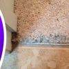 How to Repair Frayed Carpet?