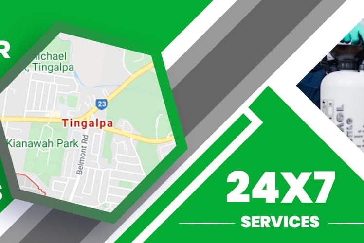 Carpet Hole Repair Tingalpa